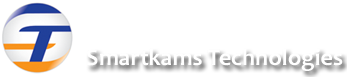 STI Logo